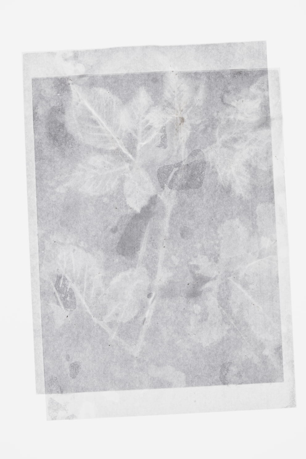 winter; Ausbelichtung 40 × 60 cm