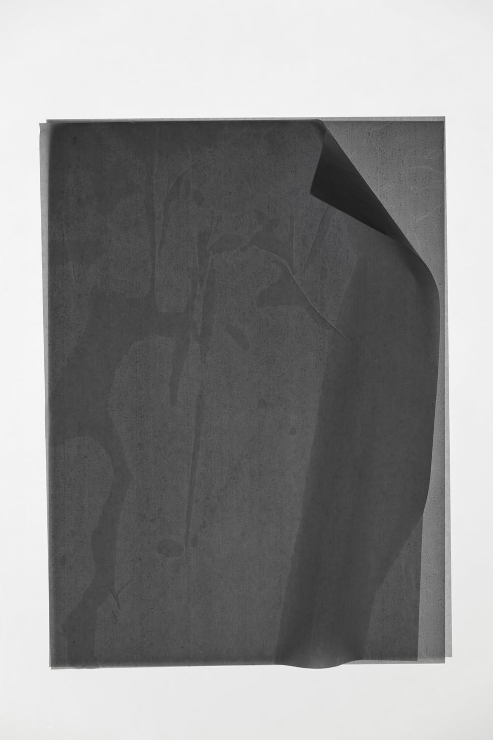 kontakt papier V; Ausbelichtung 26 × 39 cm