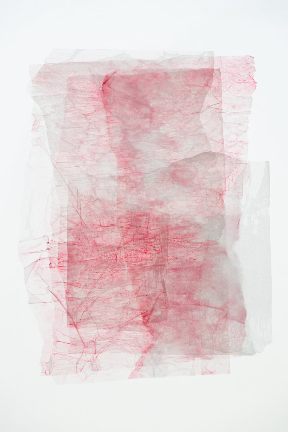 vanitas II; Ausbelichtung 64 × 96 cm