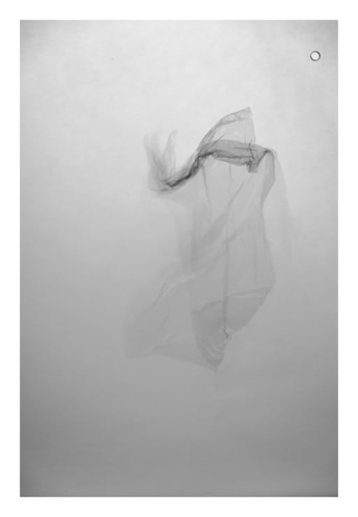 transparent