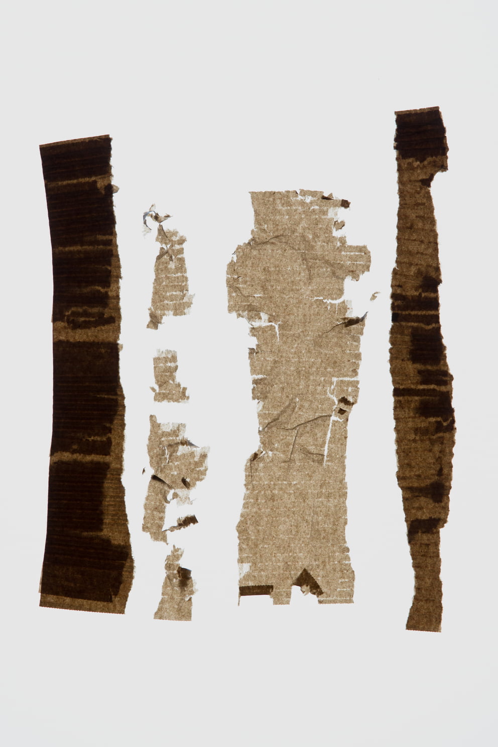 zwei streifen II; Ausbelichtung 24 × 36 cm