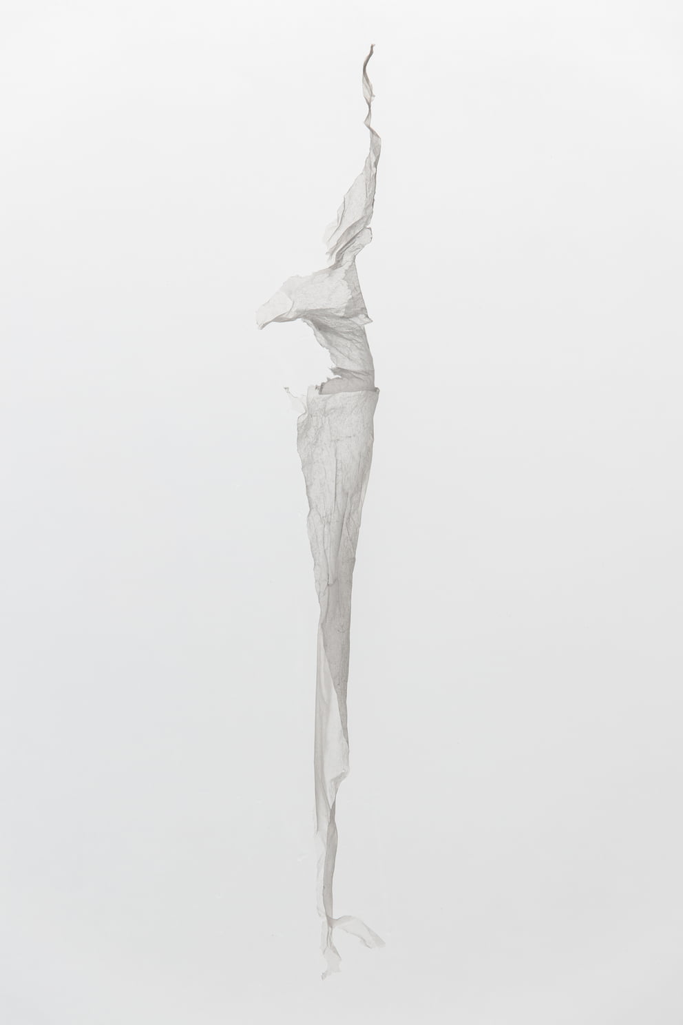 werdung 11 g V; Ausbelichtung 64 × 96 cm