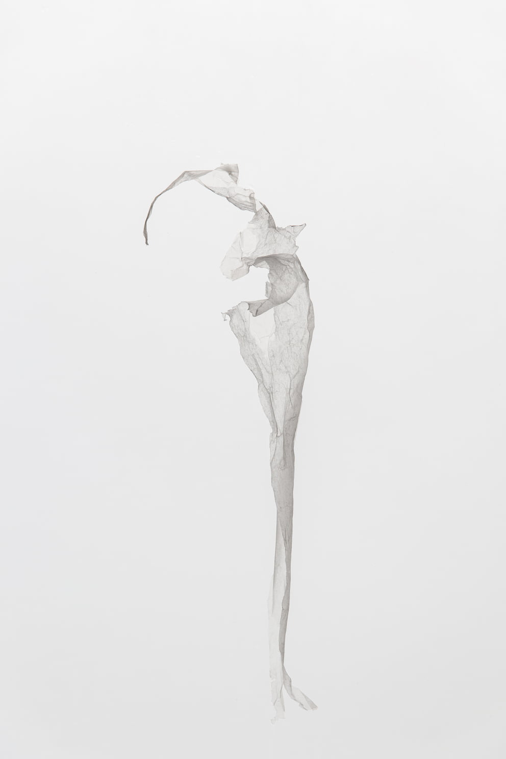 werdung 11 g VII; Ausbelichtung 64 × 96 cm