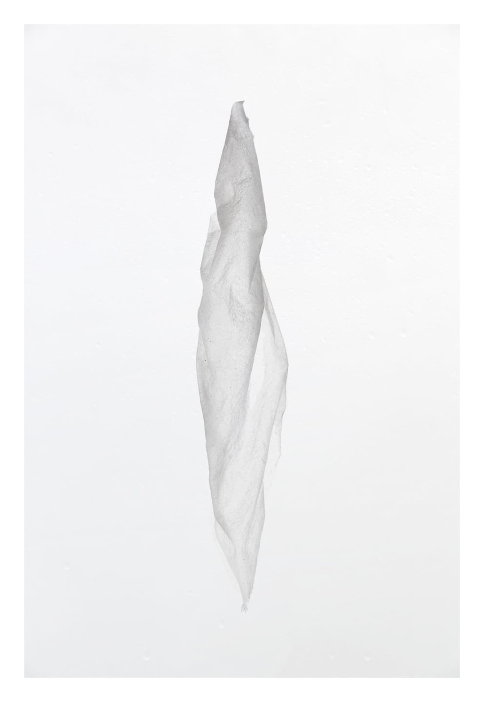 werdung 9 g XII; Ausbelichtung 120 × 174 cm