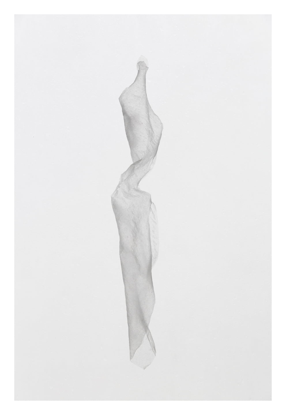 werdung 9 g XV; Ausbelichtung 120 × 174 cm