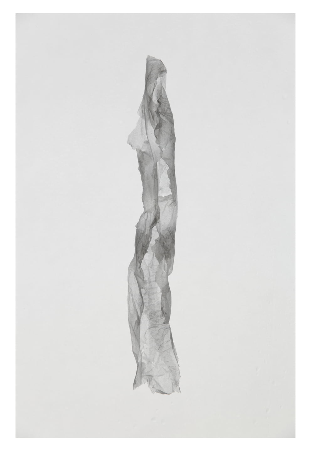werdung 9 g XXV; Ausbelichtung 120 × 174 cm