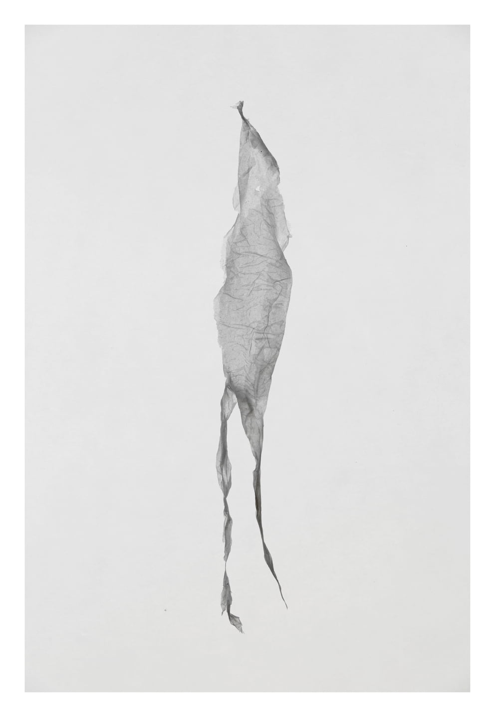werdung 3 g X; Ausbelichtung 120 × 174 cm