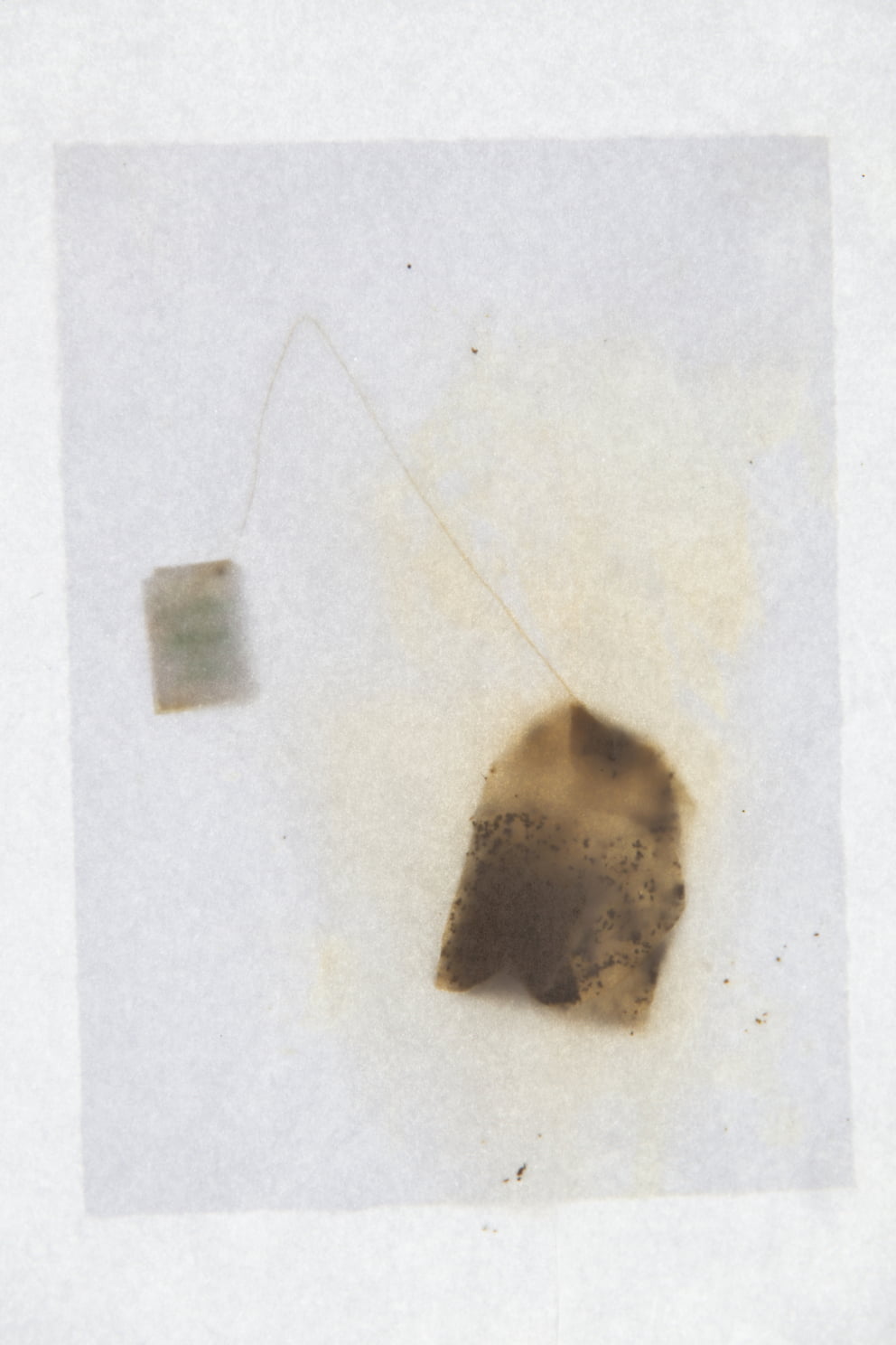 pfefferminz; Ausbelichtung 21 × 14 cm