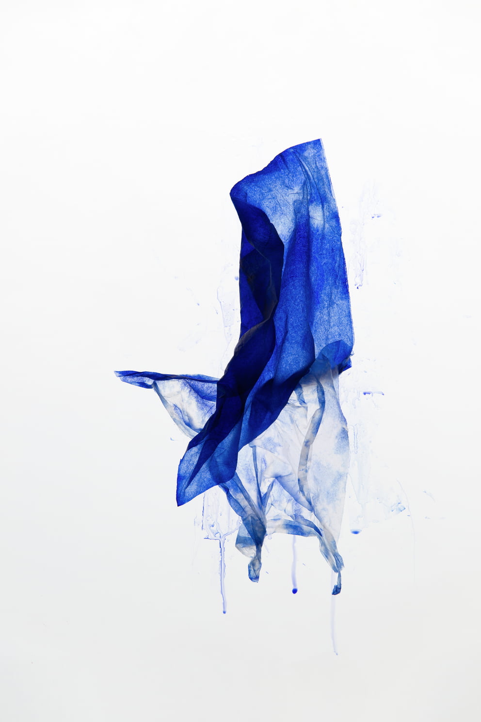 royalblau III; Ausbelichtung 64 × 96 cm