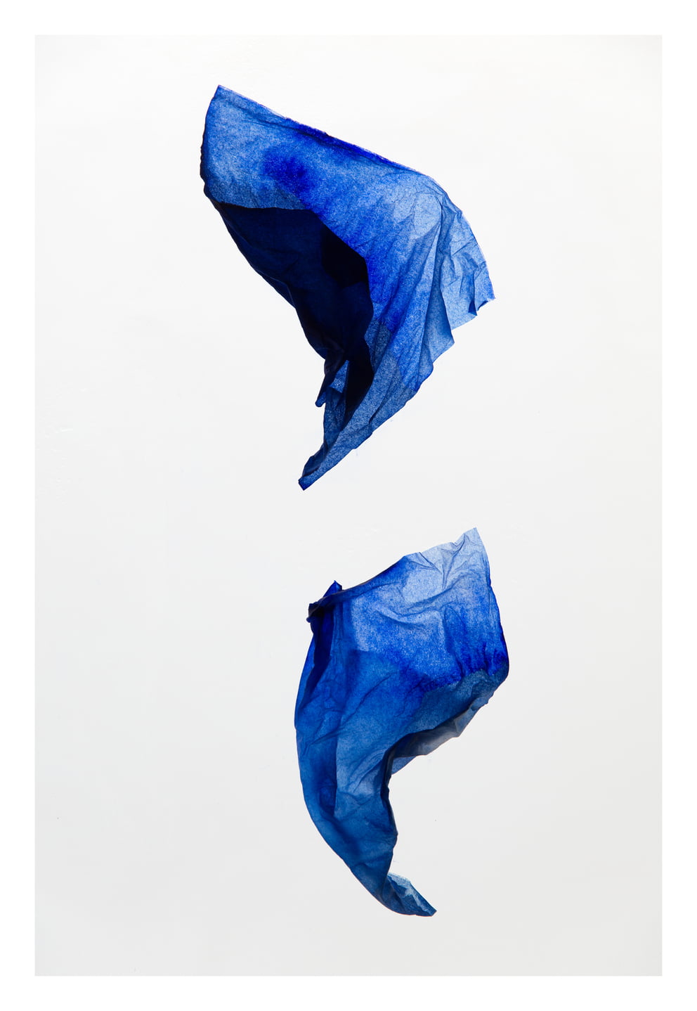 royalblau X; Ausbelichtung 120 × 174 cm