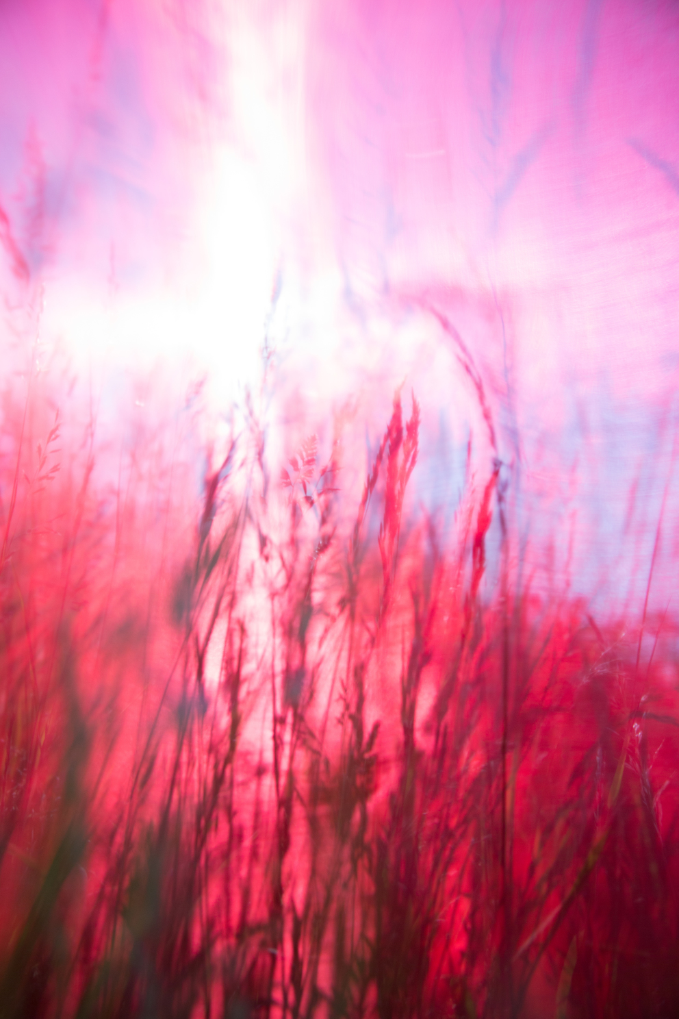 windhaut 03; Fineartprint 36 × 54 cm
