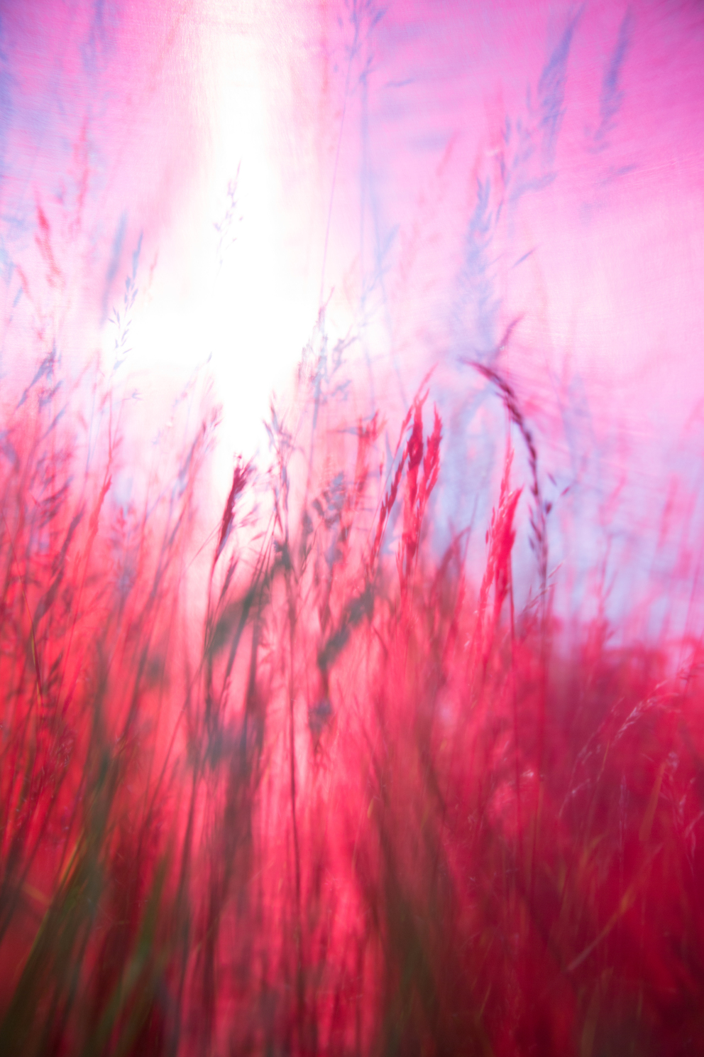windhaut 04; Fineartprint 36 × 54 cm