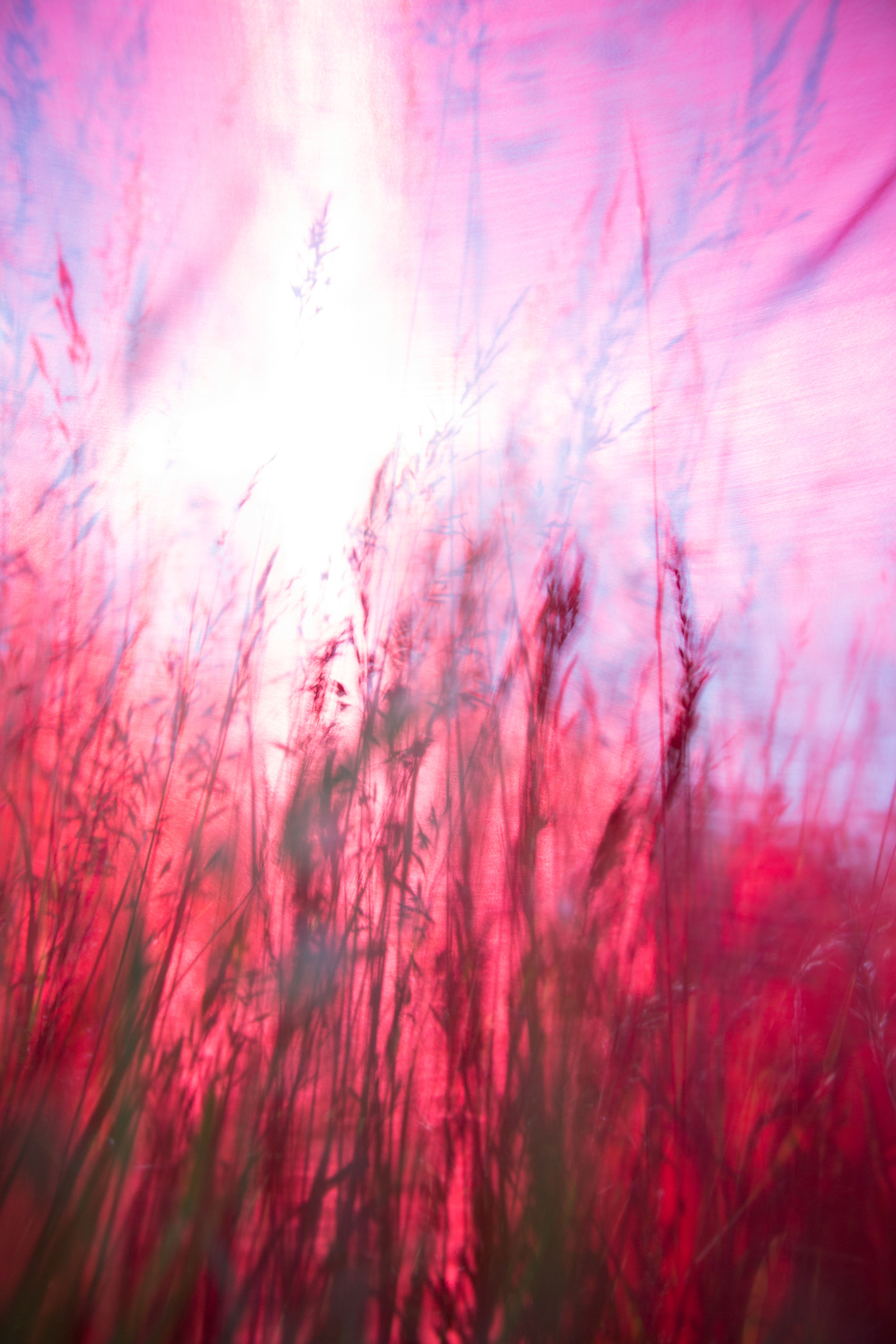 windhaut 06; Fineartprint 36 × 54 cm