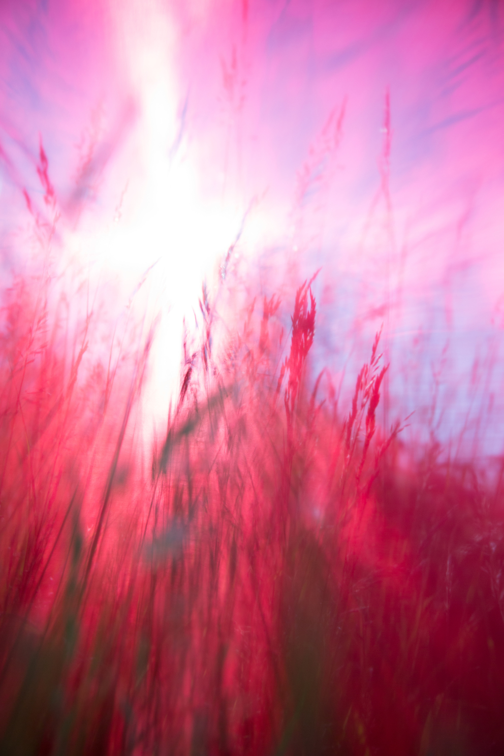 windhaut 11; Fineartprint 36 × 54 cm