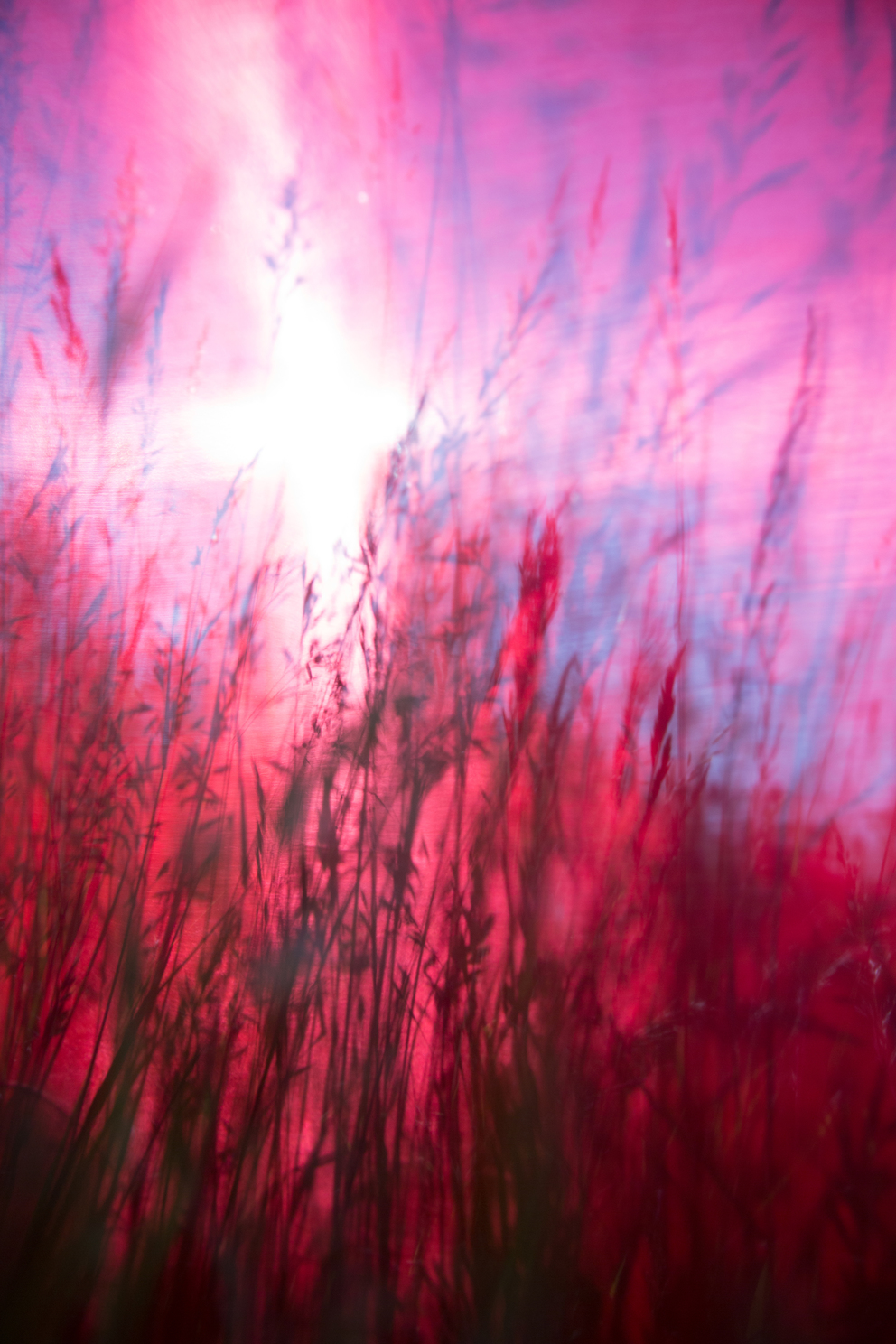 windhaut 14; Fineartprint 36 × 54 cm