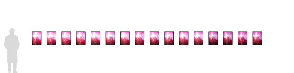 windhaut 01 - 16; 16 Fineartprints 36 × 54 cm