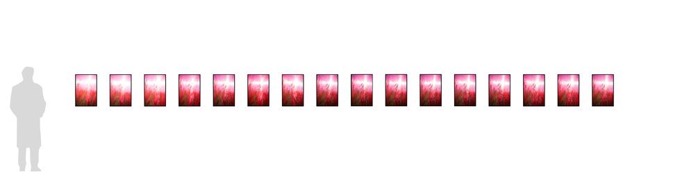 windhaut 17 - 32; 16 Fineartprints 36 × 54 cm