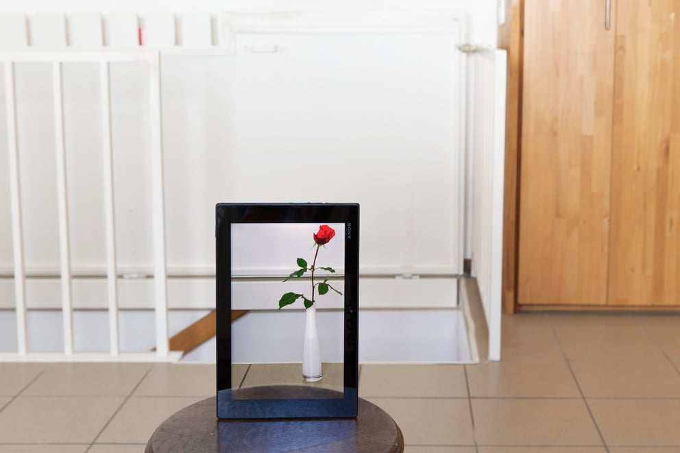 grounded forever; Ausbelichtung 48 × 32 cm
