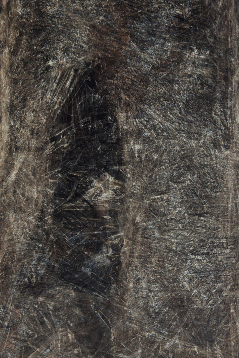 gegenstand 32 b; Ausbelichtung 64 × 96 cm