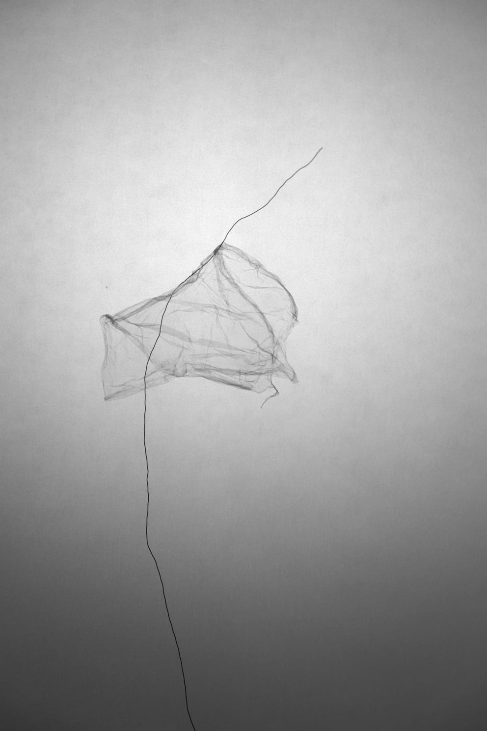 draht licht plastik 04; Ausbelichtung 40 × 60 cm