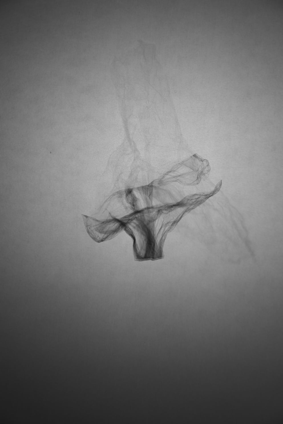 rotation; Ausbelichtung 40 × 60 cm