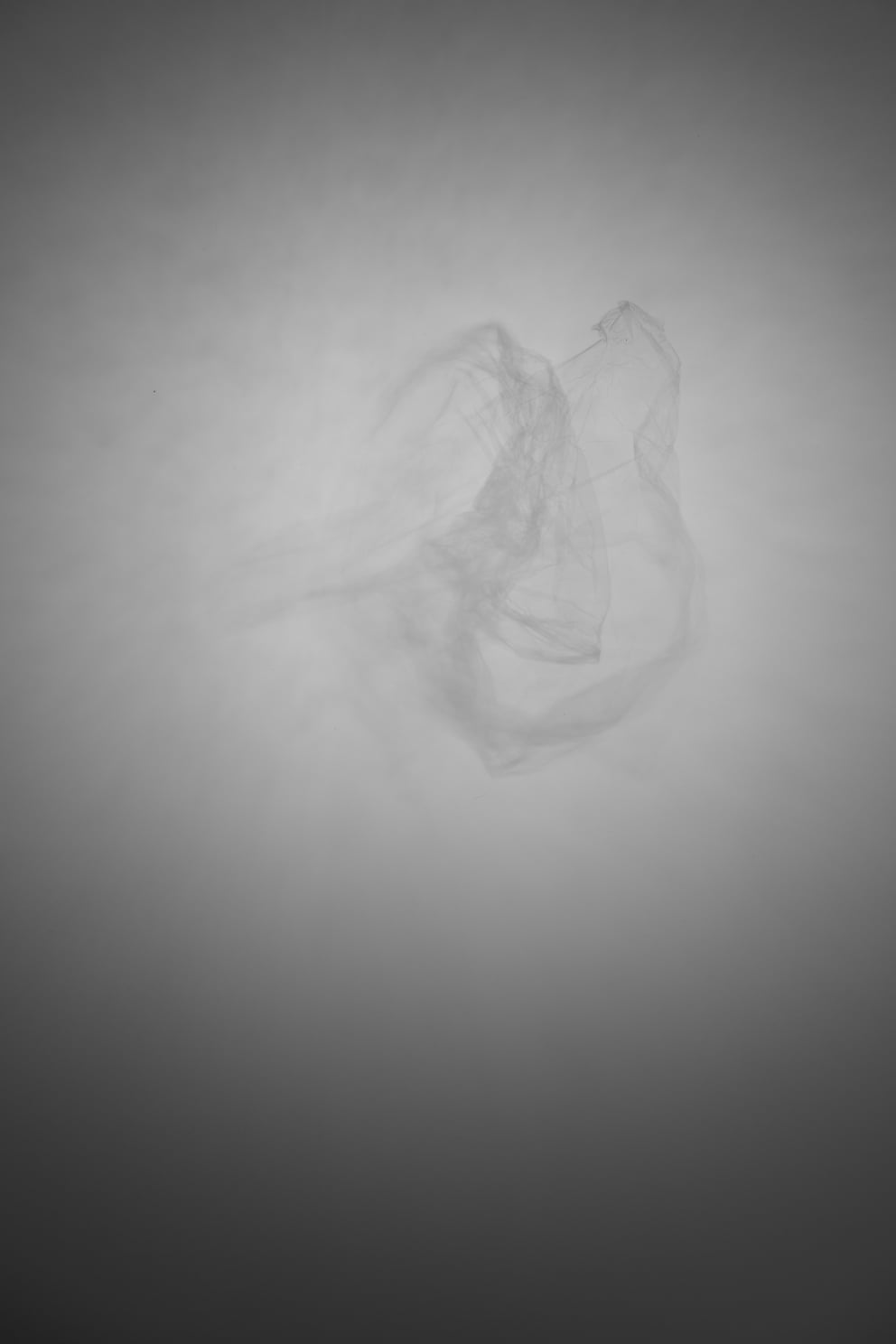 derselbigkeit 02; Ausbelichtung 40 × 60 cm