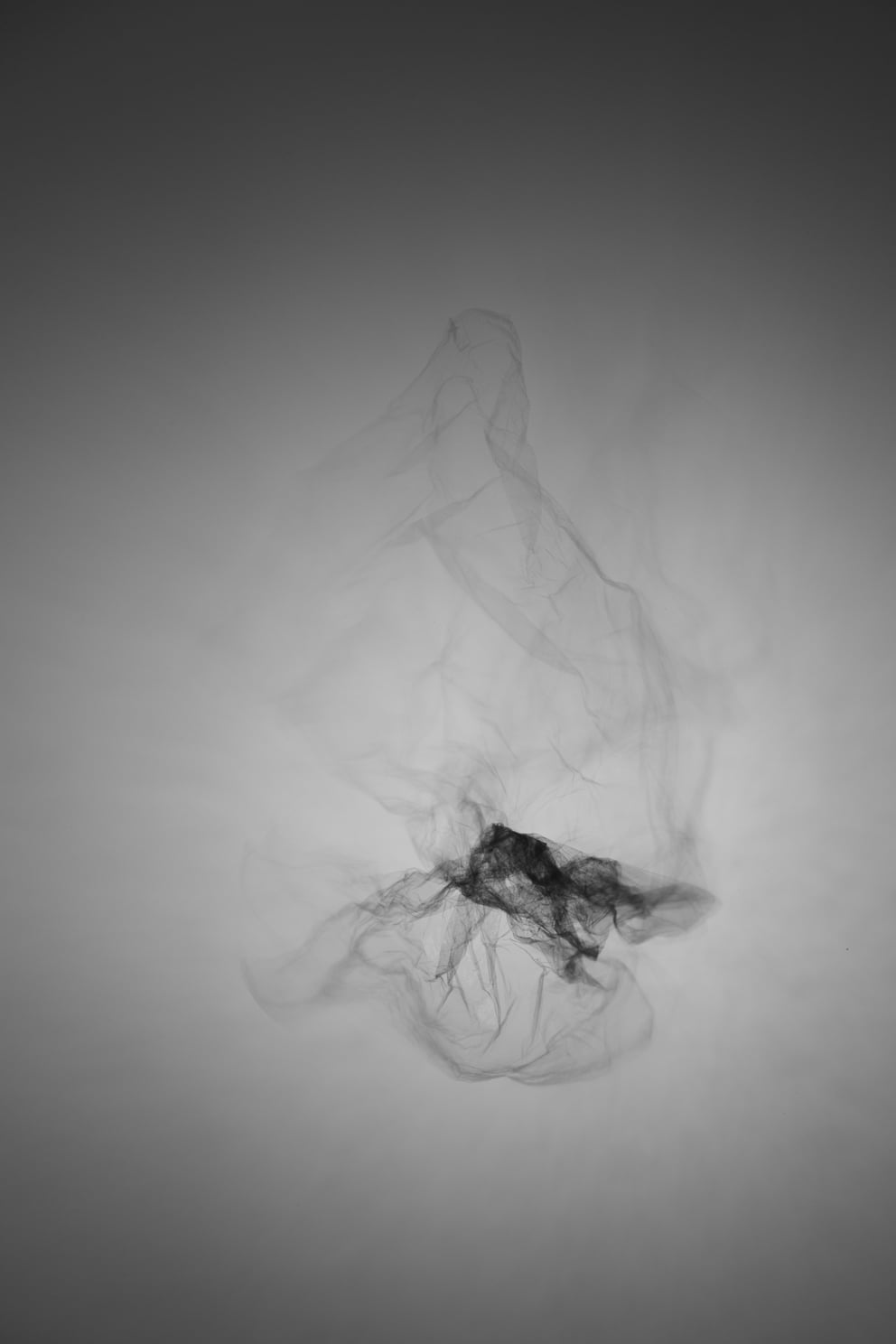 derselbigkeit 04; Ausbelichtung 40 × 60 cm
