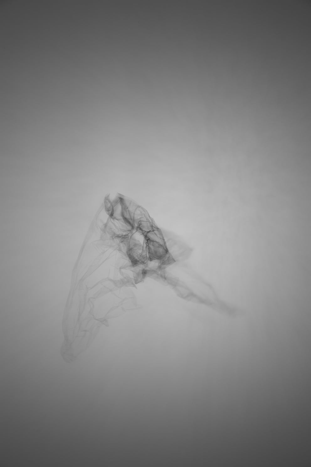 dyade 01; Ausbelichtung 40 × 60 cm