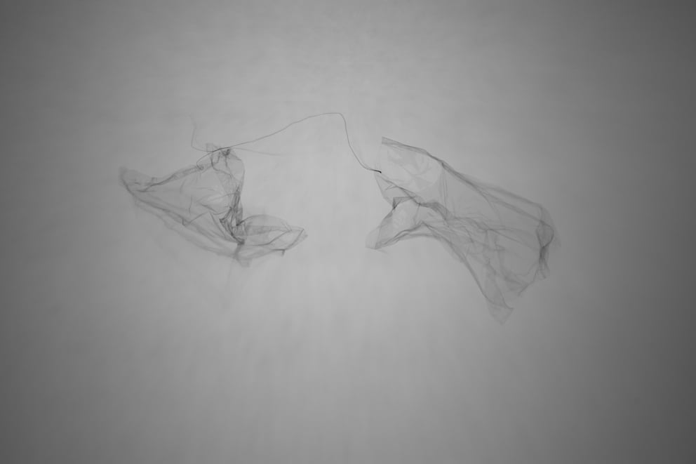 faden licht plastik 01; Ausbelichtung 40 × 60 cm