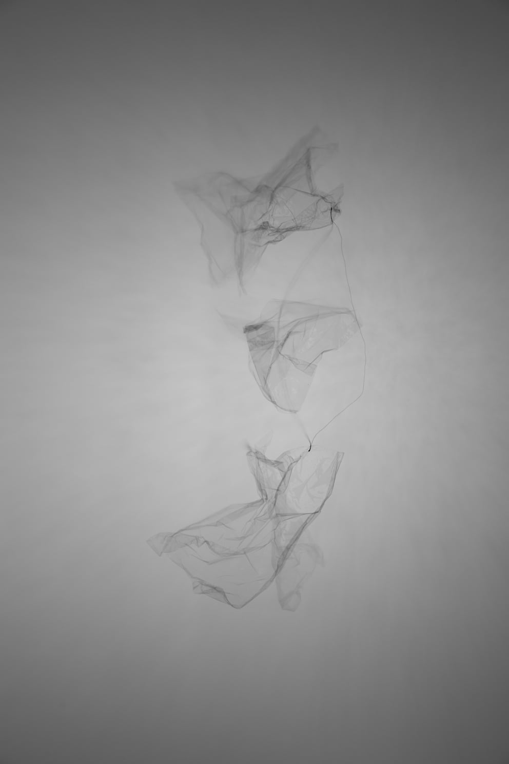 faden licht plastik 02; Ausbelichtung 40 × 60 cm