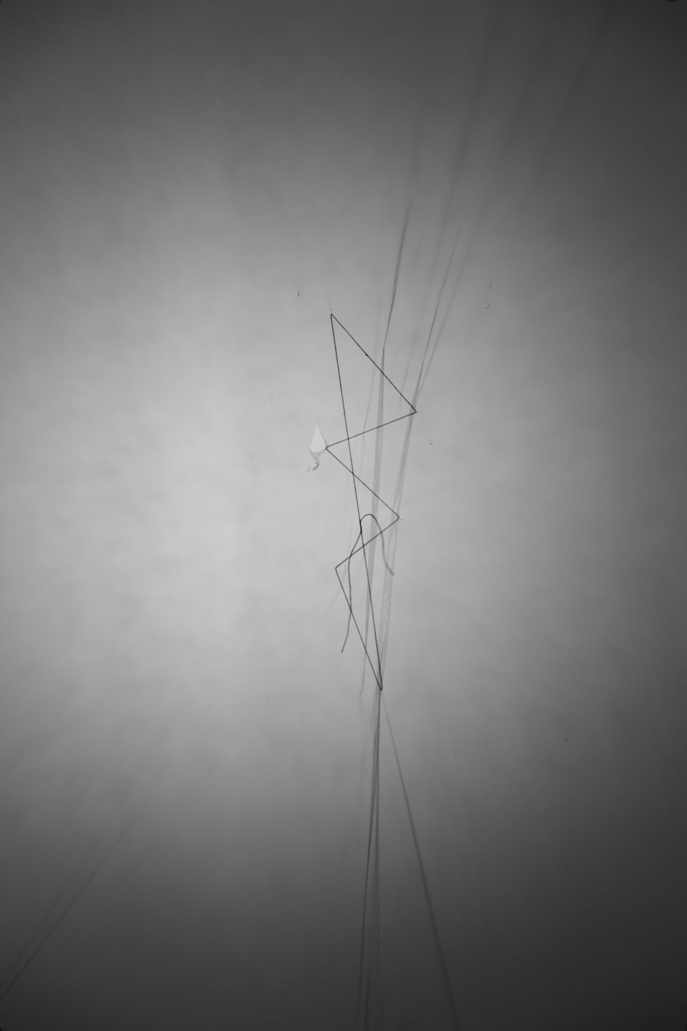 fläche zug plastik 01; Ausbelichtung 40 × 60 cm