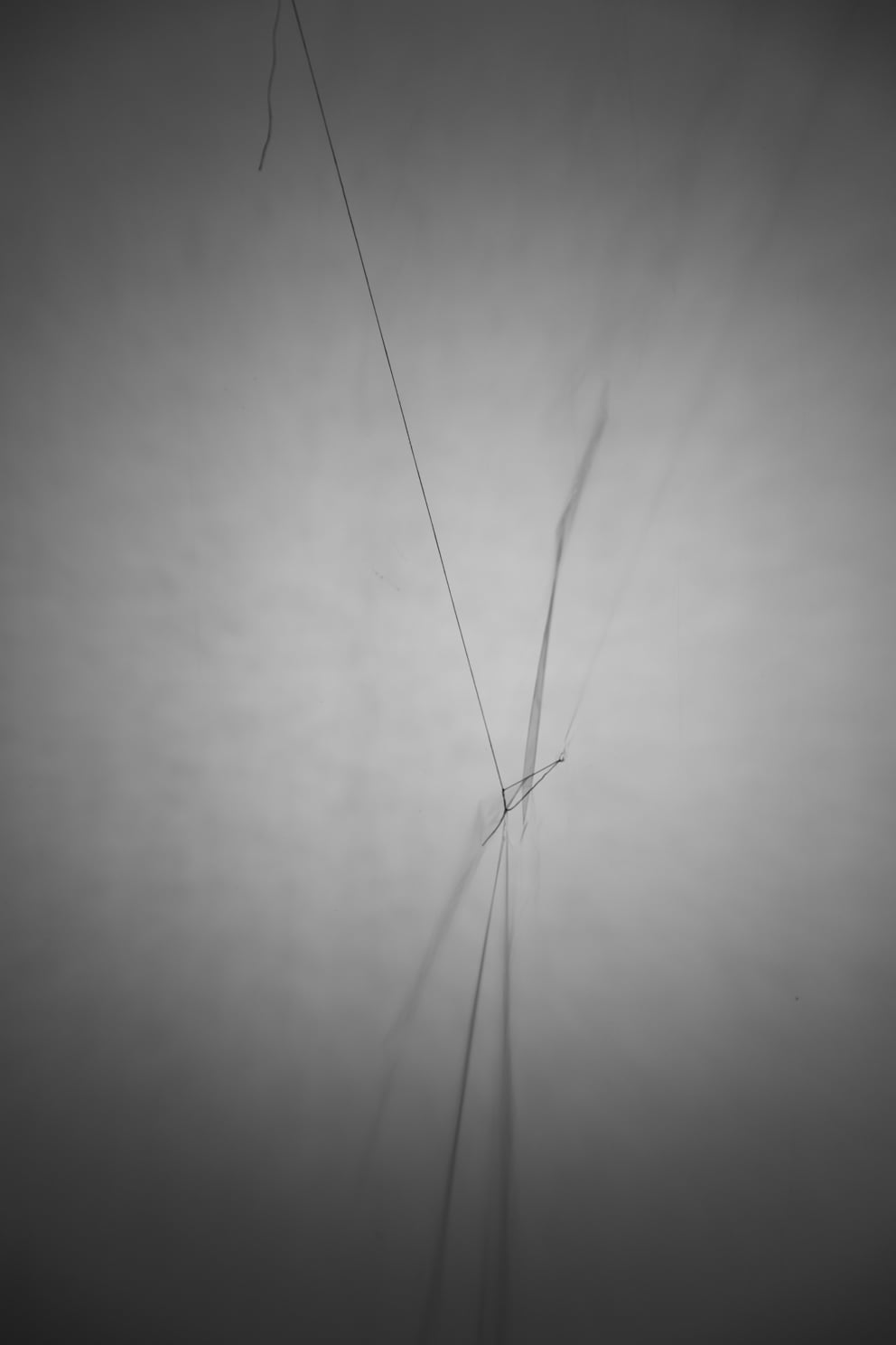 fläche zug plastik 02; Ausbelichtung 40 × 60 cm