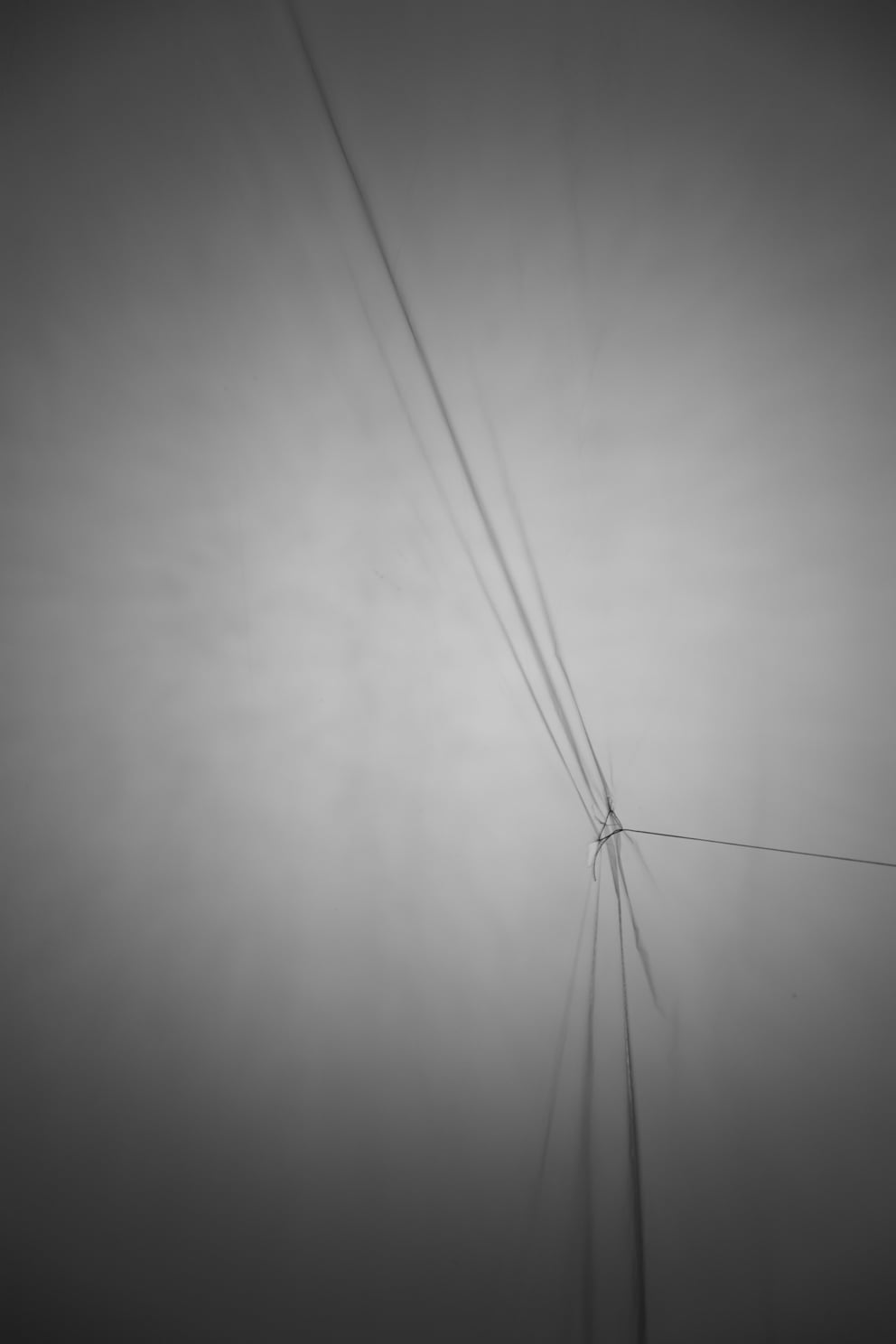 fläche zug plastik 05; Ausbelichtung 40 × 60 cm