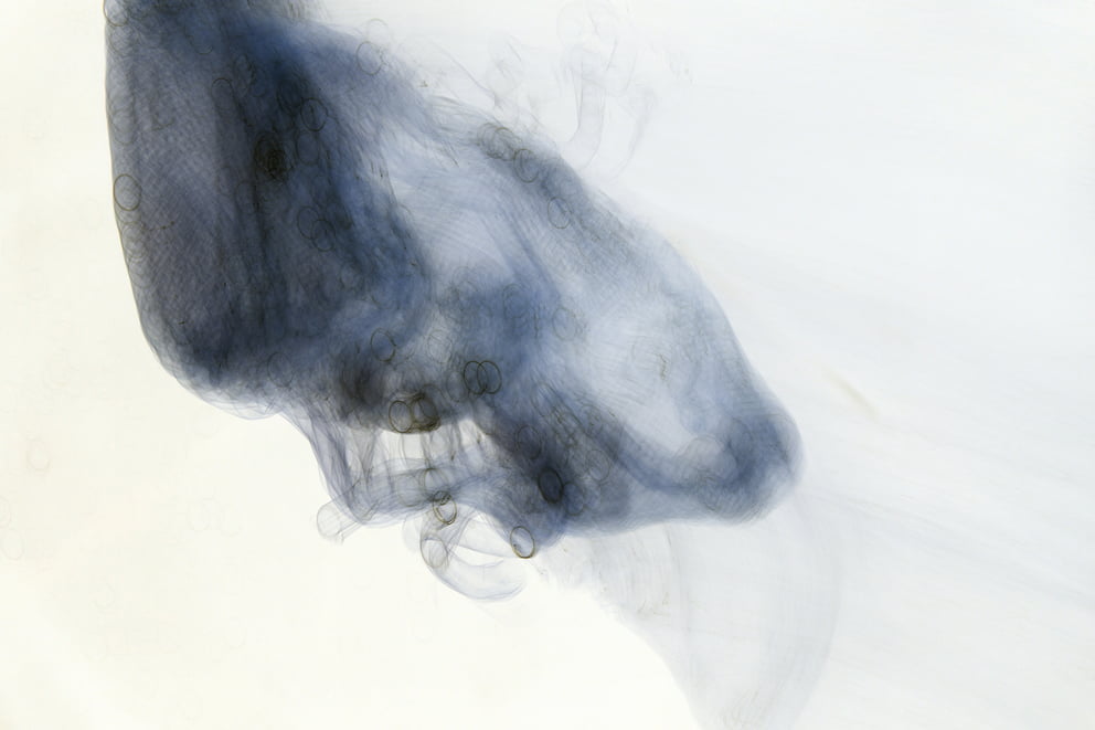 lungs negative 01; Ausbelichtung 64 × 96 cm