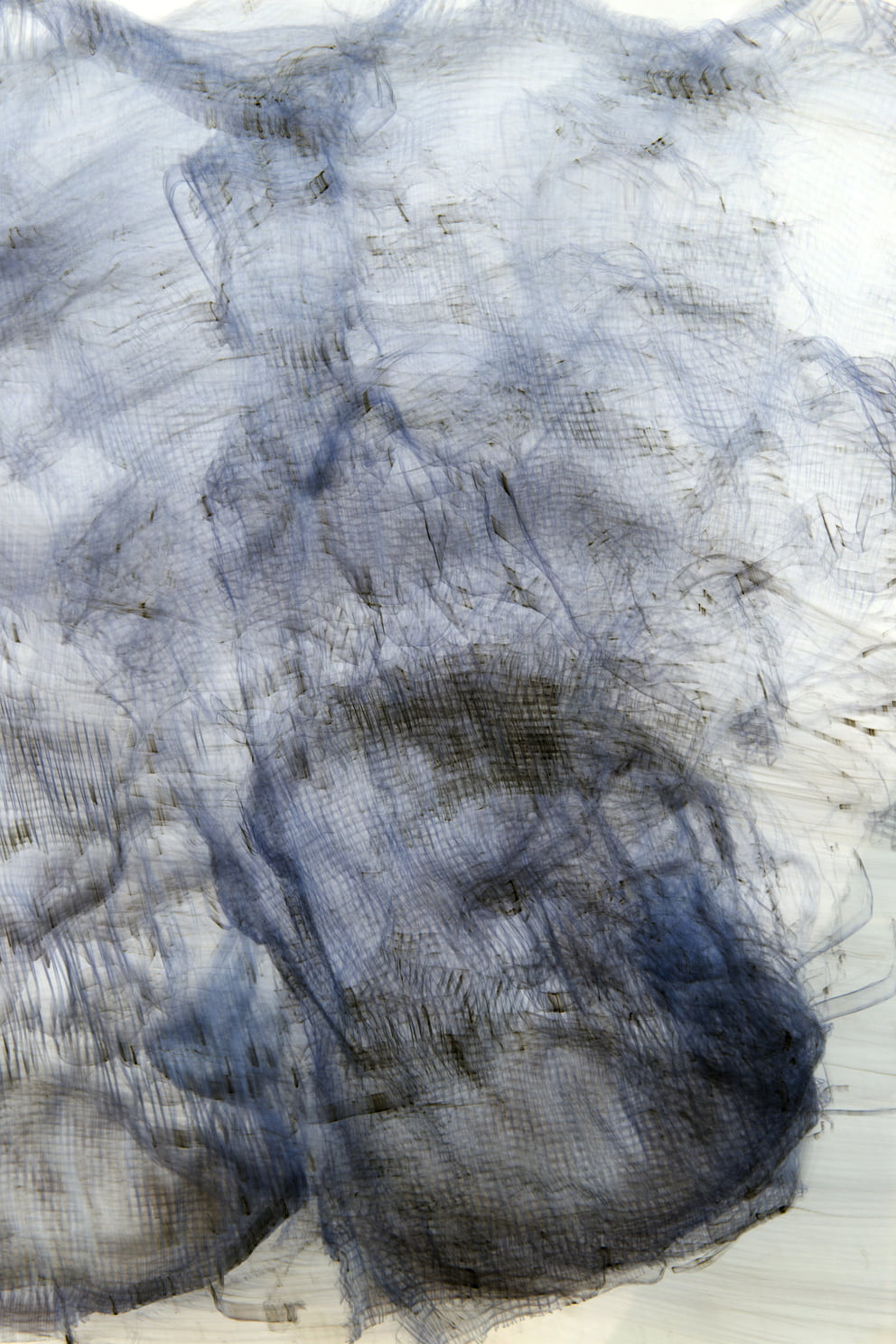 lungs negative 05; Ausbelichtung 64 × 96 cm