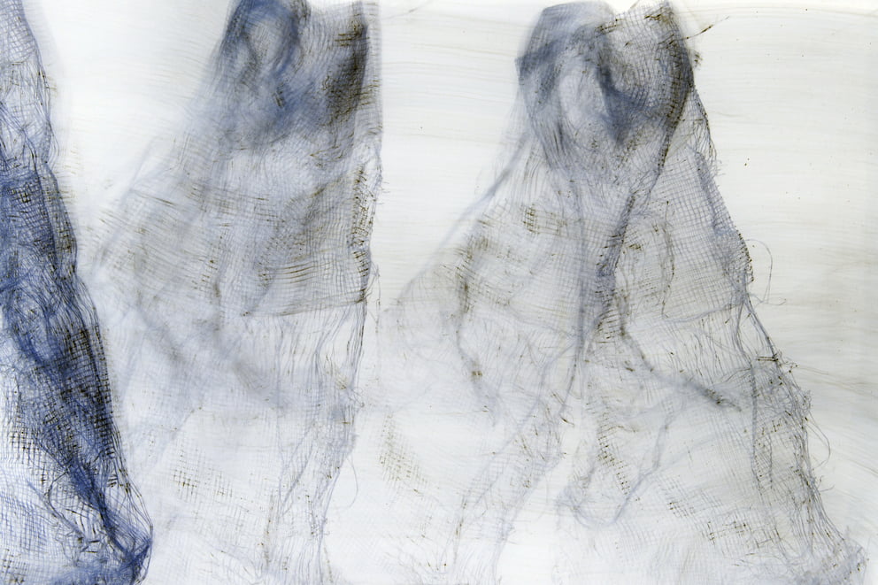 lungs negative 06; Ausbelichtung 64 × 96 cm