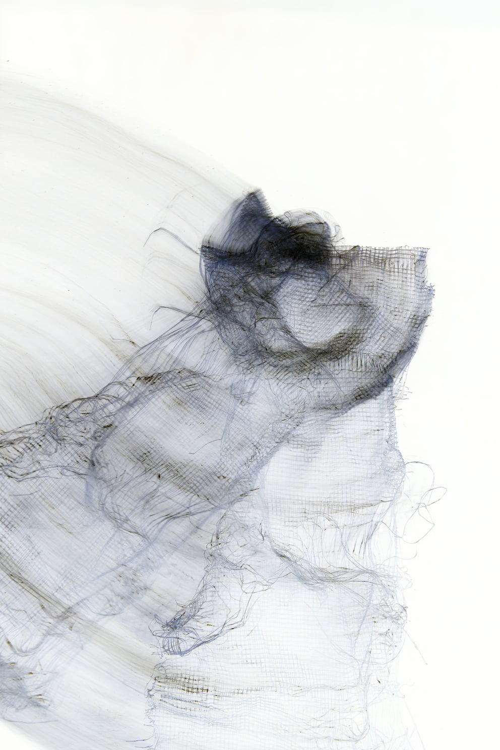 lungs negative 07; Ausbelichtung 64 × 96 cm