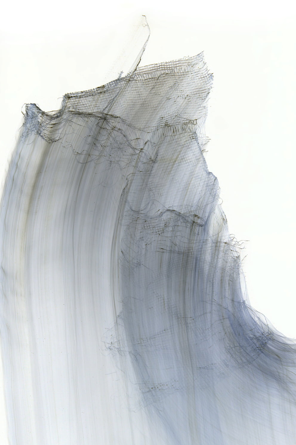 lungs negative 08; Ausbelichtung 64 × 96 cm
