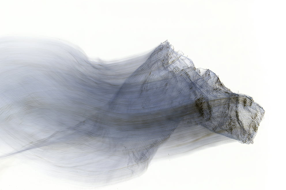 lungs negative 10; Ausbelichtung 64 × 96 cm