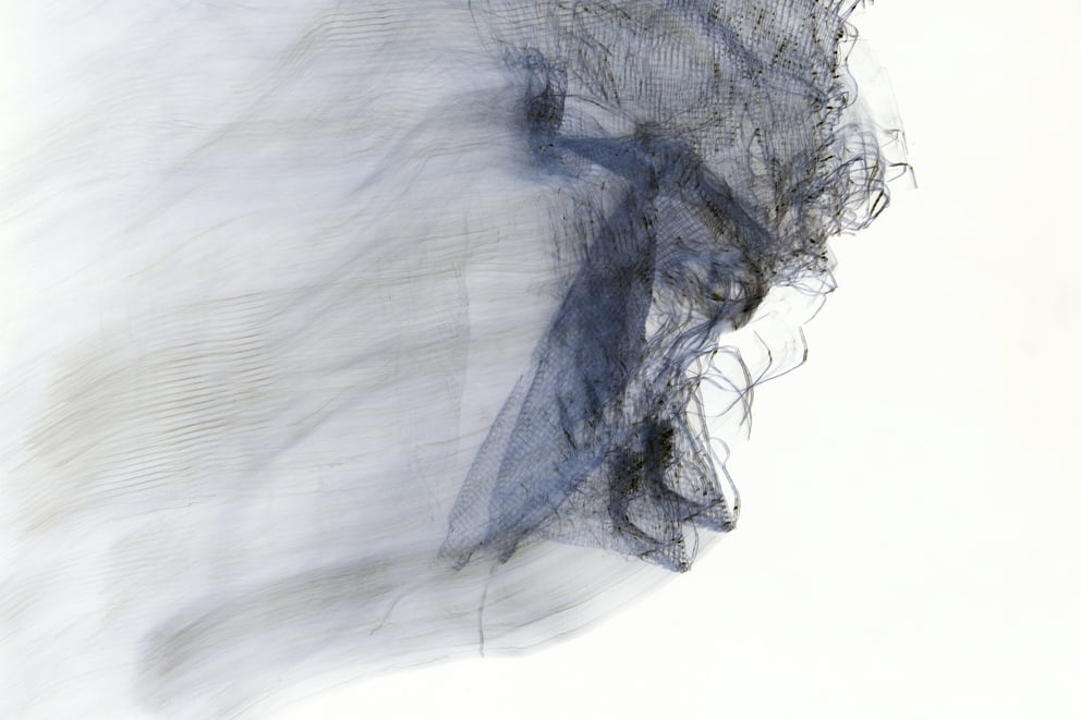 lungs negative 12; Ausbelichtung 64 × 96 cm