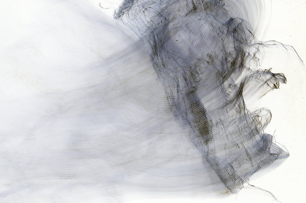 lungs negative 13; Ausbelichtung 64 × 96 cm