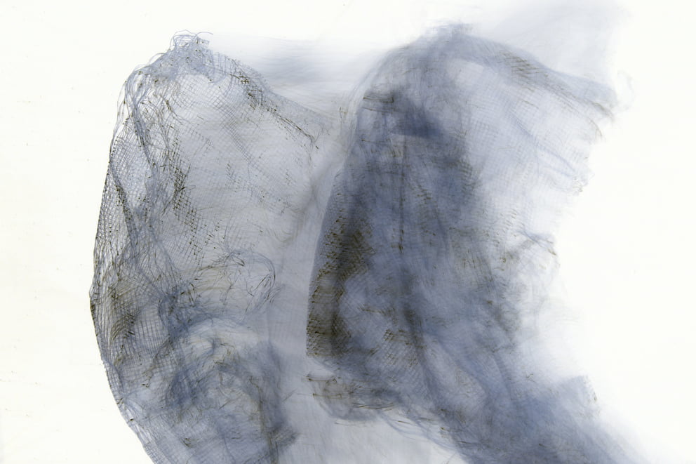 lungs negative 14; Ausbelichtung 64 × 96 cm