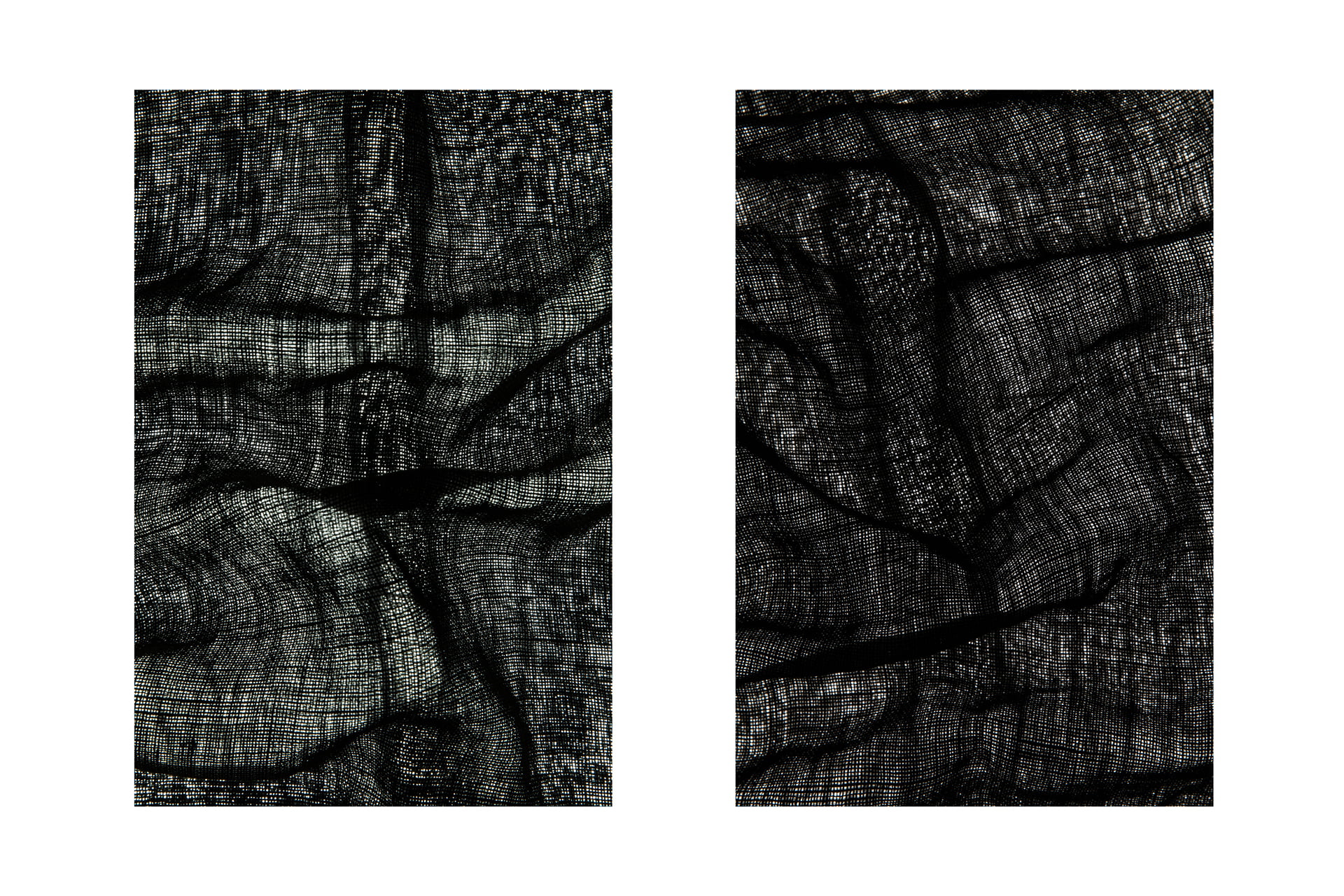 überlagerung 16 - 17; 2 Ausbelichtungen 60 × 90 cm