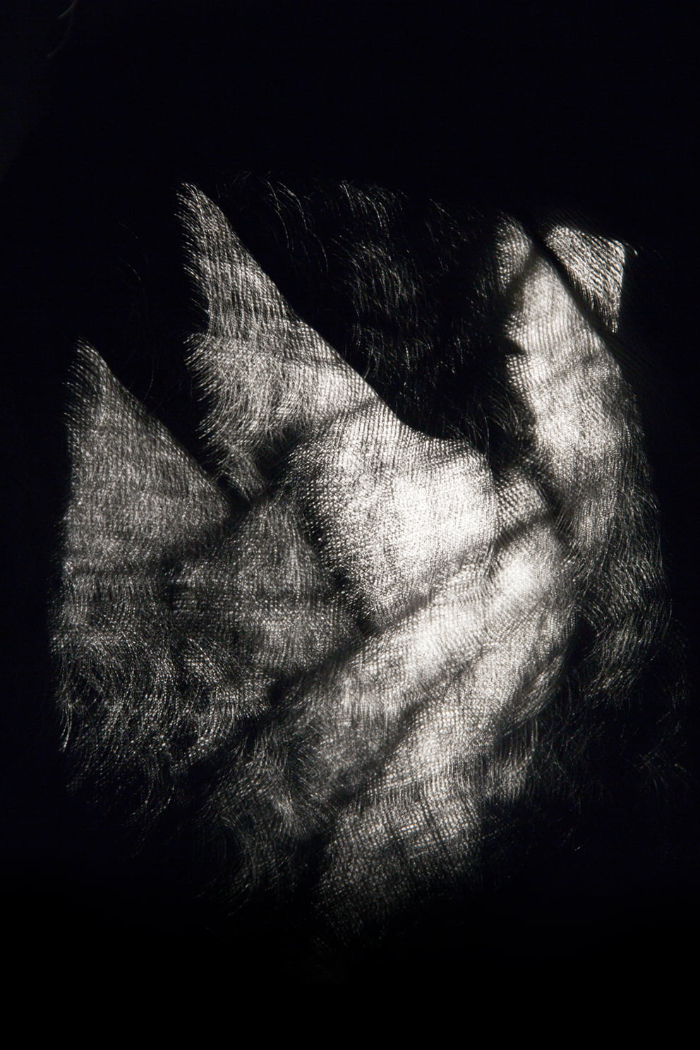 überlagerung 38; Ausbelichtung 60 × 90 cm